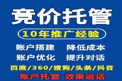包年竞价操作指南：实战案例助您快速上手